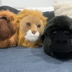 Animal Heads For Little Boys Room, Cute 