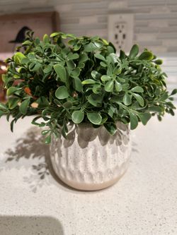 Fake Plant Decor