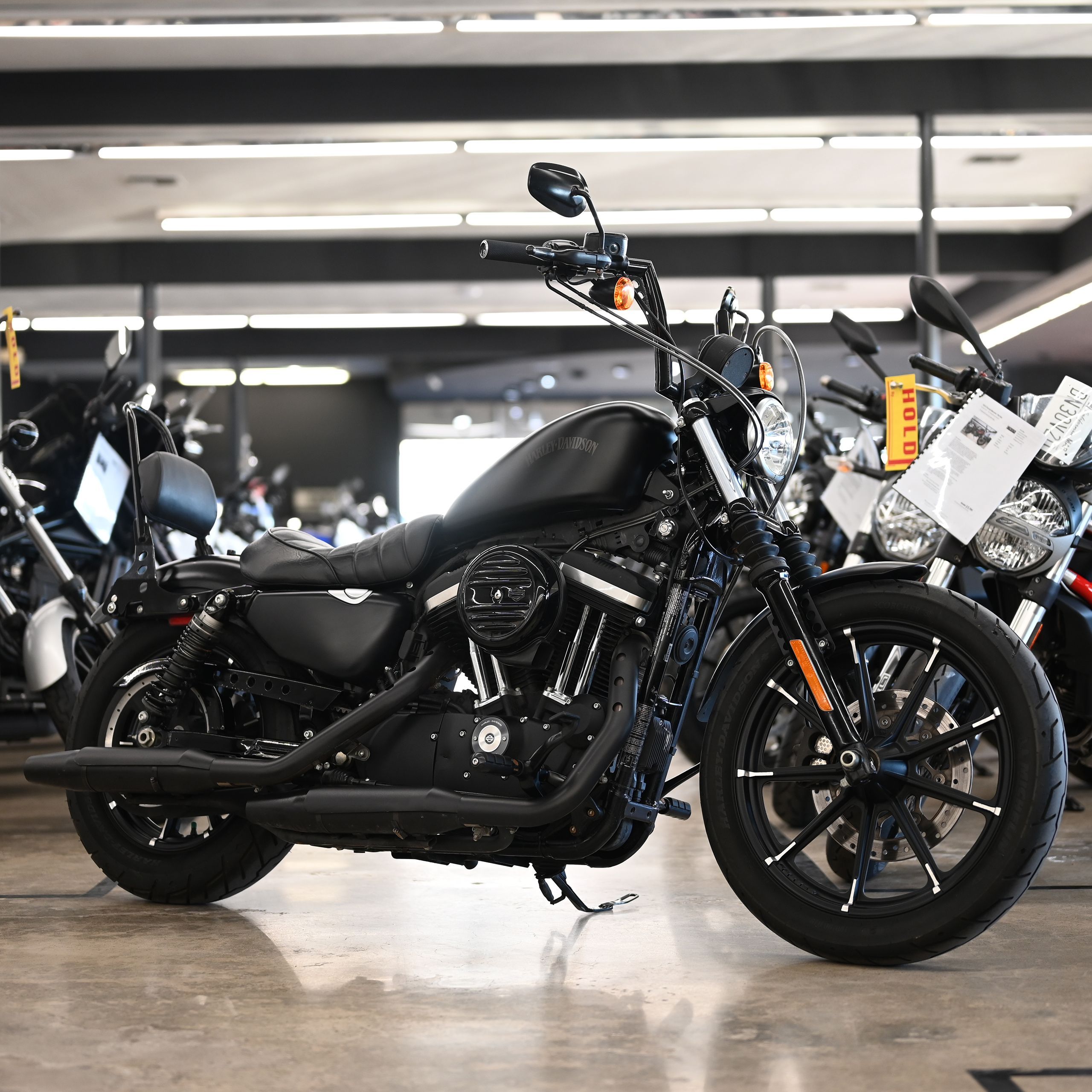 2021 HARLEY DAVIDSON IRON 883