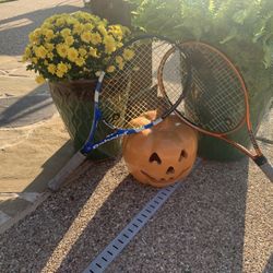 Tennis Rackets & Carrier 