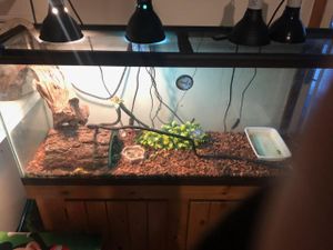 New And Used Fish Tank Decorations For Sale In Scranton Pa Offerup
