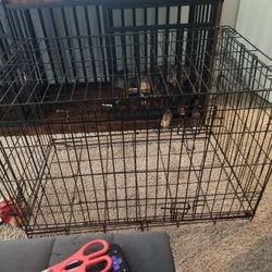 Dog Cage