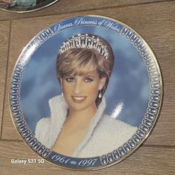 Collection Of 8 Beautiful Princess Diana Plates
