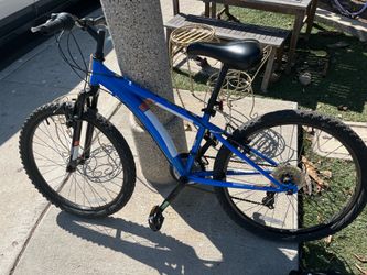Diamond Back Cobra 24