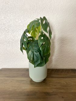 Artificial Palm Plant