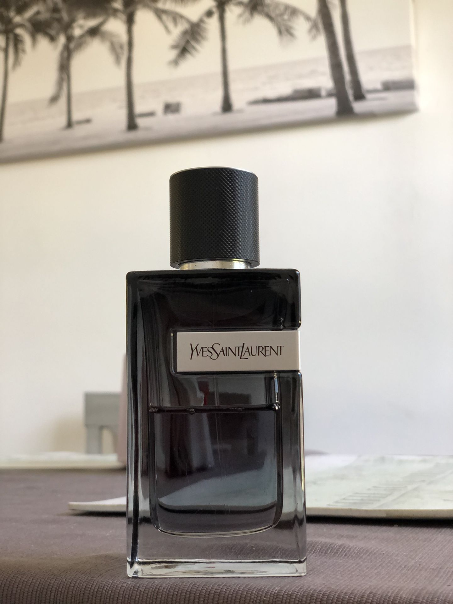 YSL Y EDP Cologne