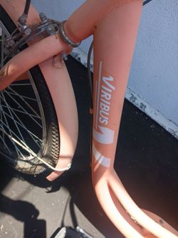 VIRIBUS ADULT TRI CYCLE