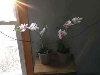 Orchid Artificial Plants, pink and white and green