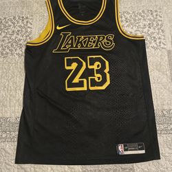 LeBron James Jersey