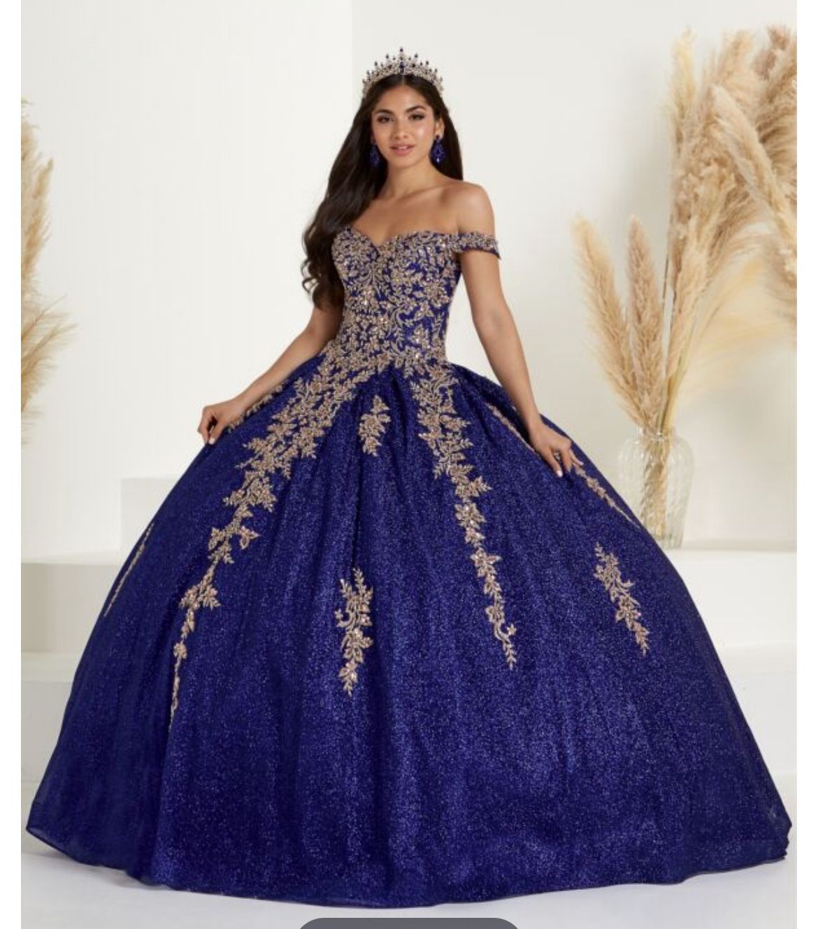 QuinceaƱera / Party Gown Size 2
