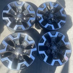 Rines De Toyota Tacoma