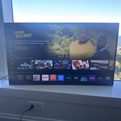 VIZIO 40-inch smart TV