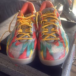 Kobe Venice Beach 