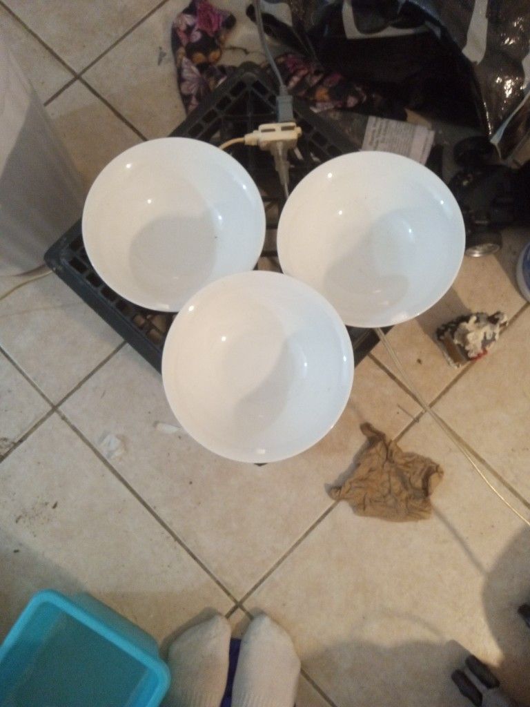 Plain White Bowl