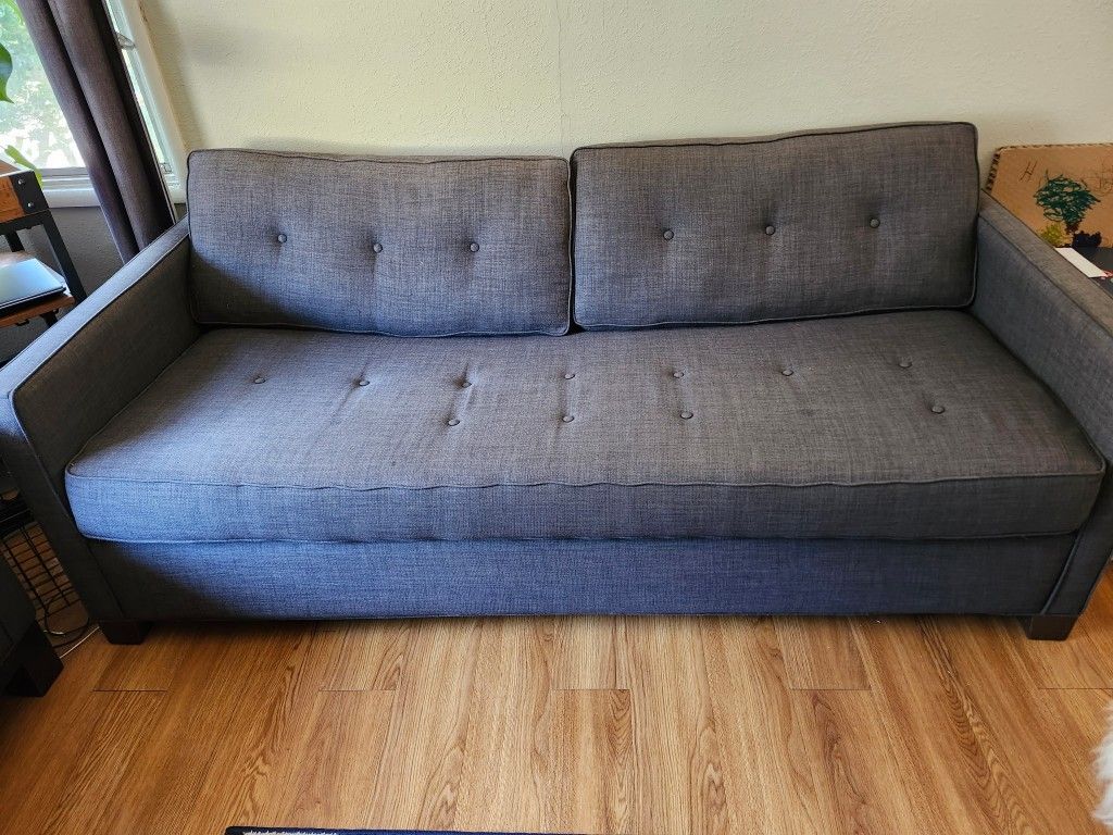 Large, Comfy Pullout Couch