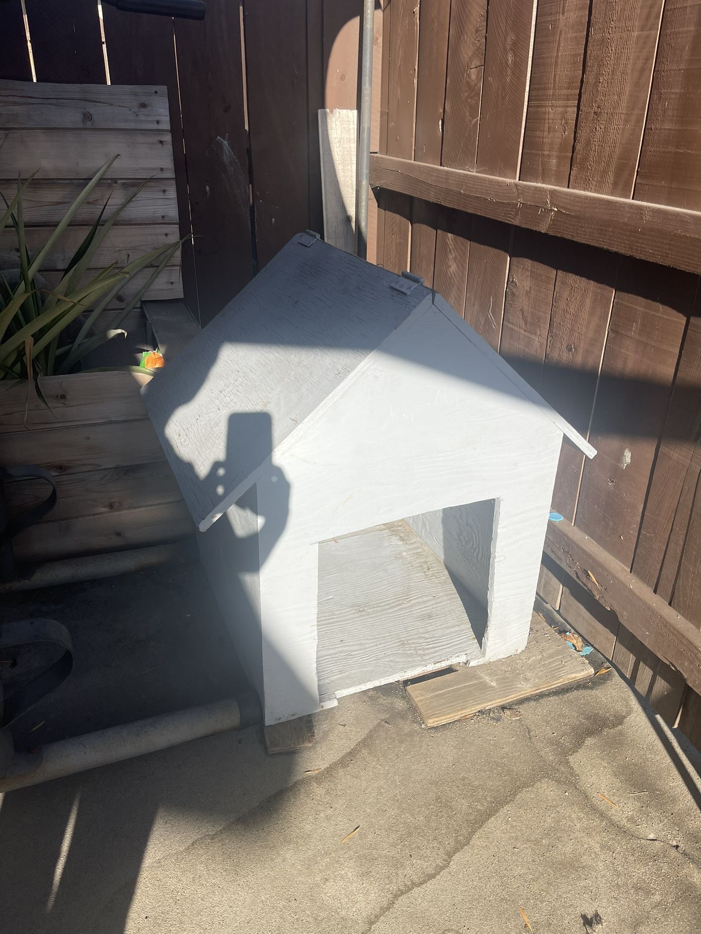 House Dog