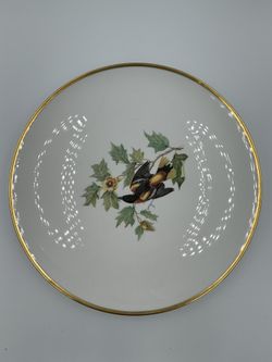 Vintage Hutschenreuther “baltimore Oriole” Gold Rim Porcelain Plate Germany