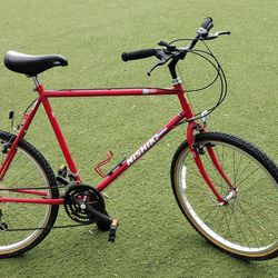 Bicycle Nishiki Blazer Large Frame Vintage Bicycle 18 speed 26 Inch Tires
