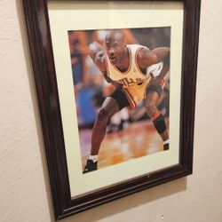 Michael Jordan Framed Picture 
