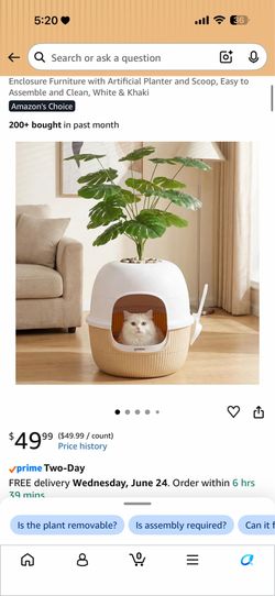 Cat Plant Litter Box