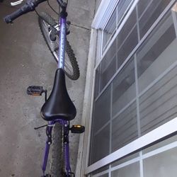 Schwinn  Granite Peak  24  Roadmaster