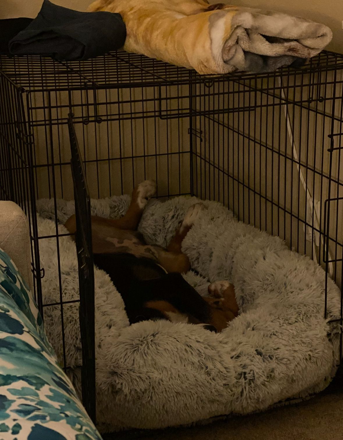 42.0”L x 28.0”W x 30.0”H Dog Crate