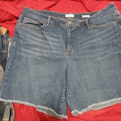 Womens shorts