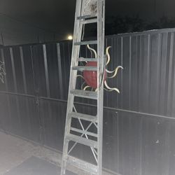 8ft. Tall Aluminum Ladder