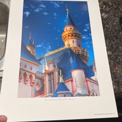Disney Art Lithograph 