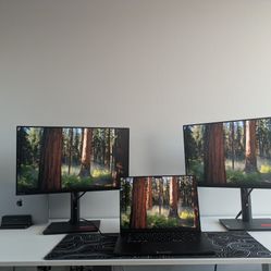 Electric Standing Desk 