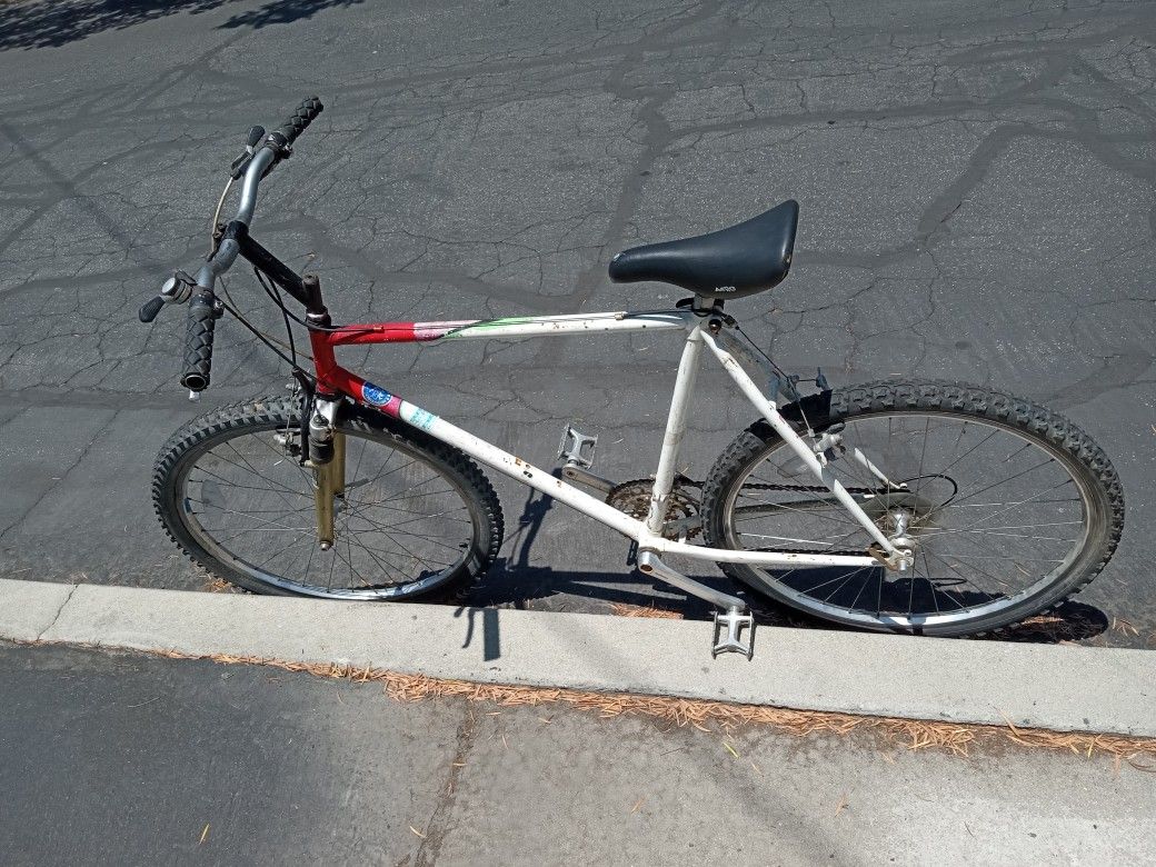 Bridgestone Mb4 Mountain Bike