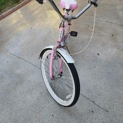 Schinn Bicycle Adult 26x2.125 Pink