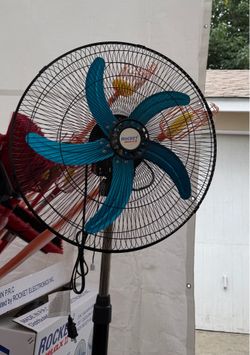 Fan