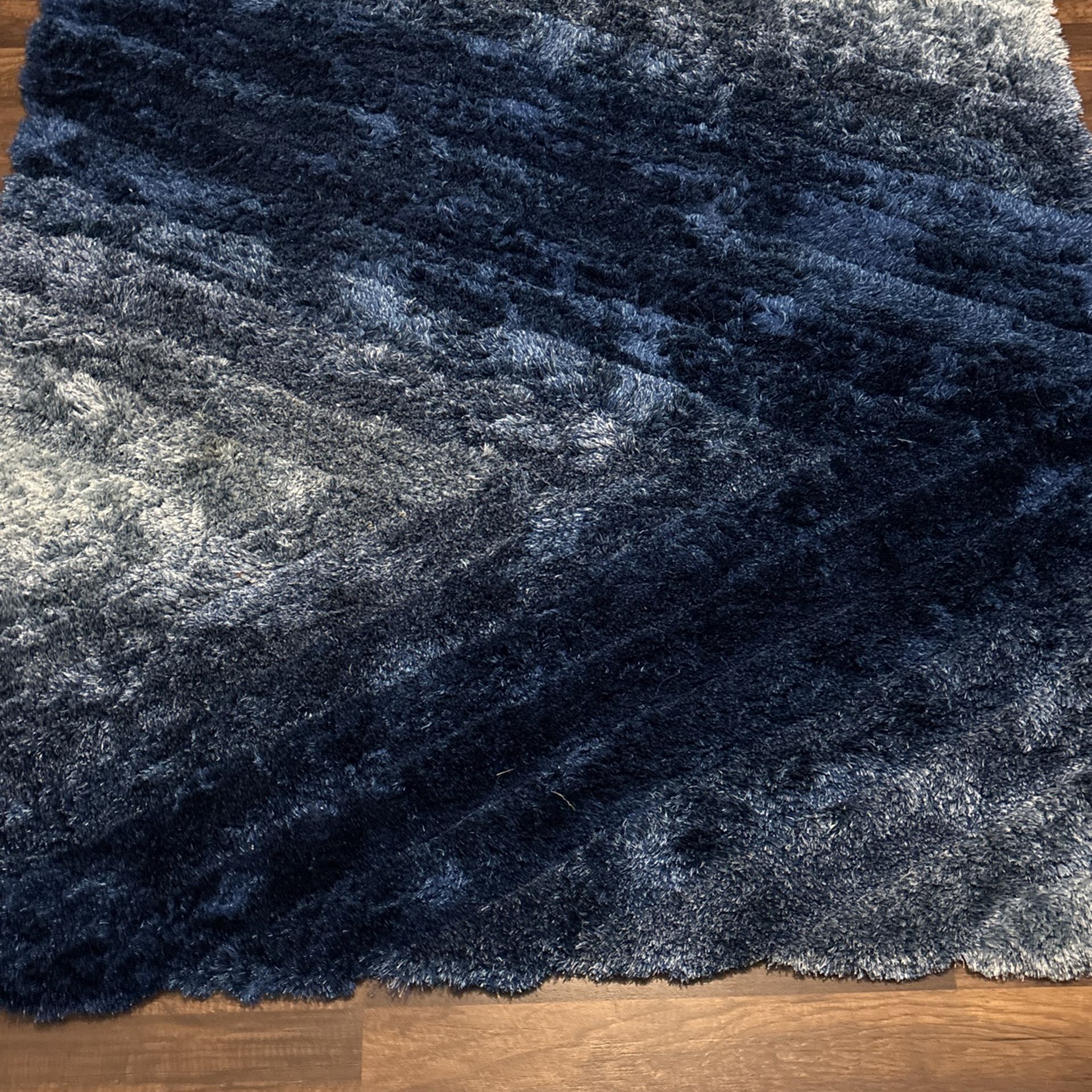 Foxy Collection 1 Blue 5x7 Shag Area Rug