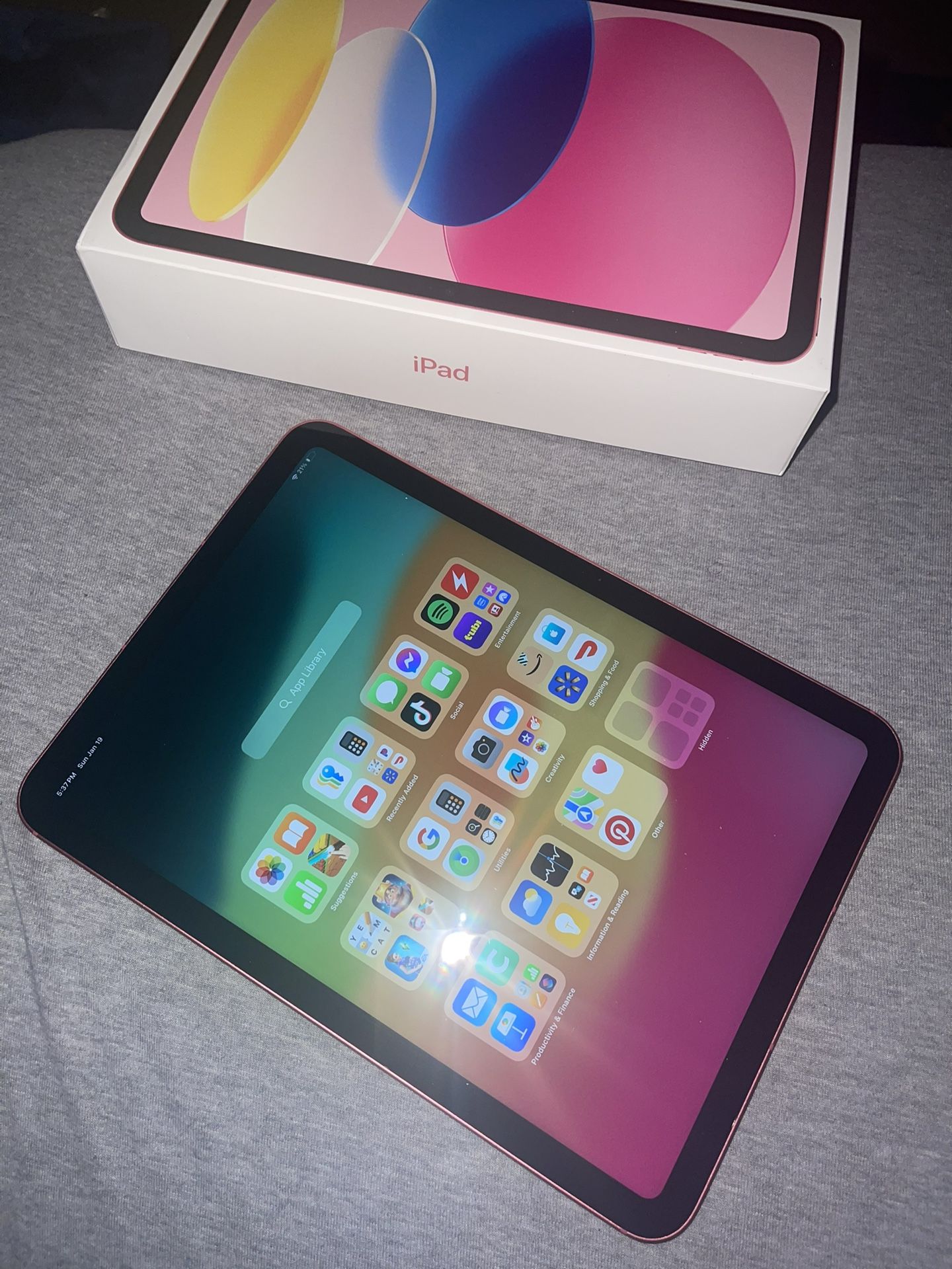 iPad  (Pink)