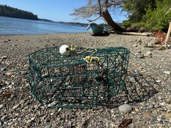 Crab pot