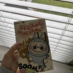 exciting macaroon labubu