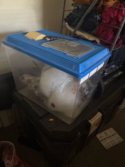 Aquarium and reptile supplies