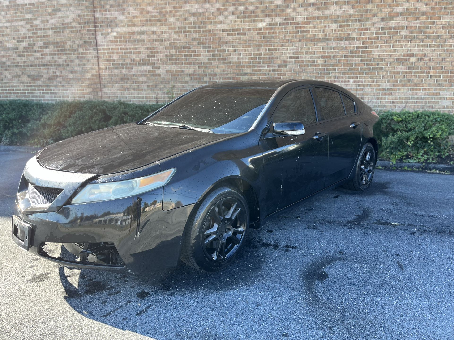 2010 Acura TL