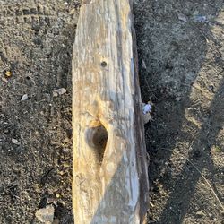 Petrefied Wood About  2 Feet Long 2 Pieces 