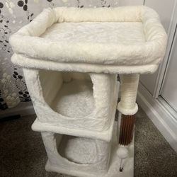 Cat Tree 