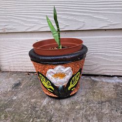 Ceramic Pot And Plant