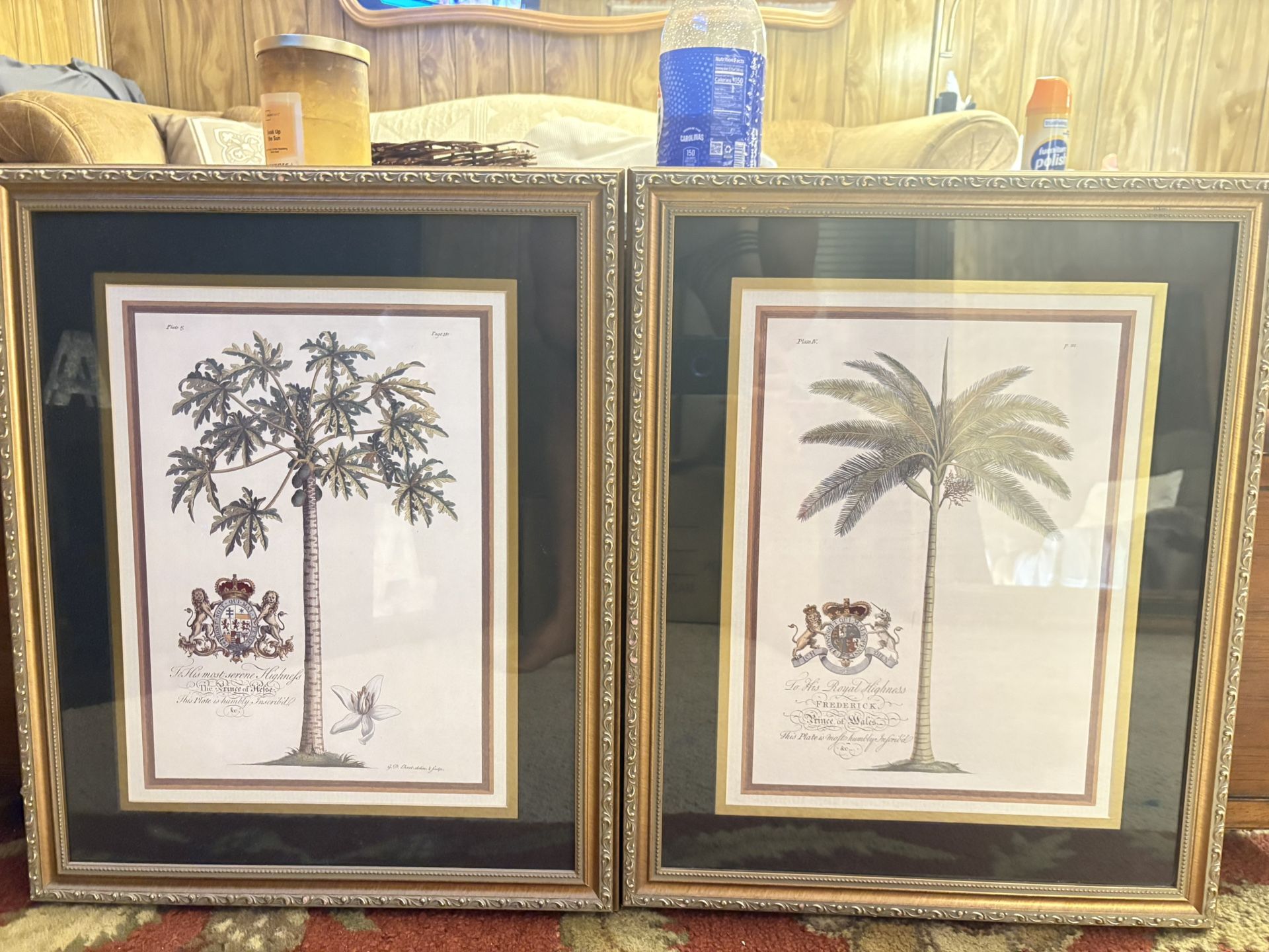 2 Framed Prints