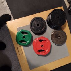 Standard Weights 100 Lbs