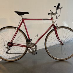 Bridgestone 300, 58cm Road Bike 