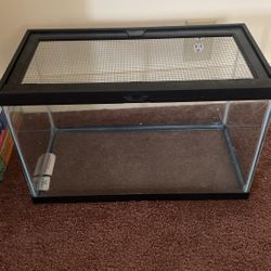 Reptile Tank (10 Gallon?)