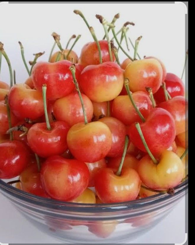 Cherrys Cherrys Cherrys Bulk Sales Bings And Rainier