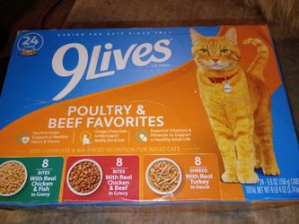 Cat food