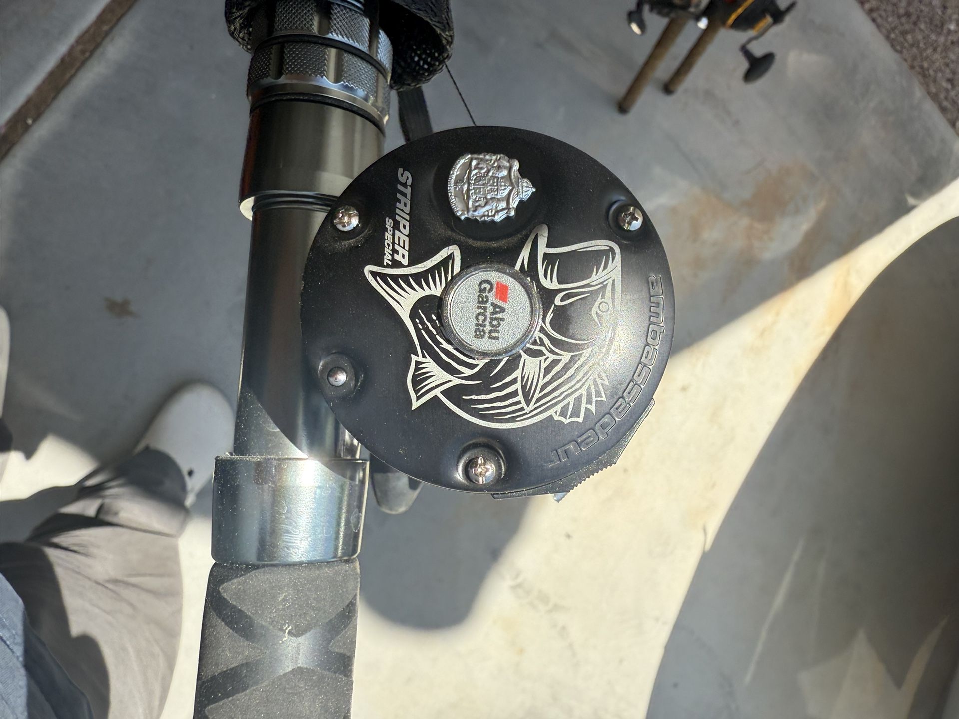Abu Garcia Fishing Reel Striper Special