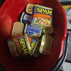 Spam Food 